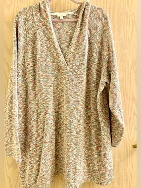 J. Jill Beachy Cozy Multicolor Hooded Sweater